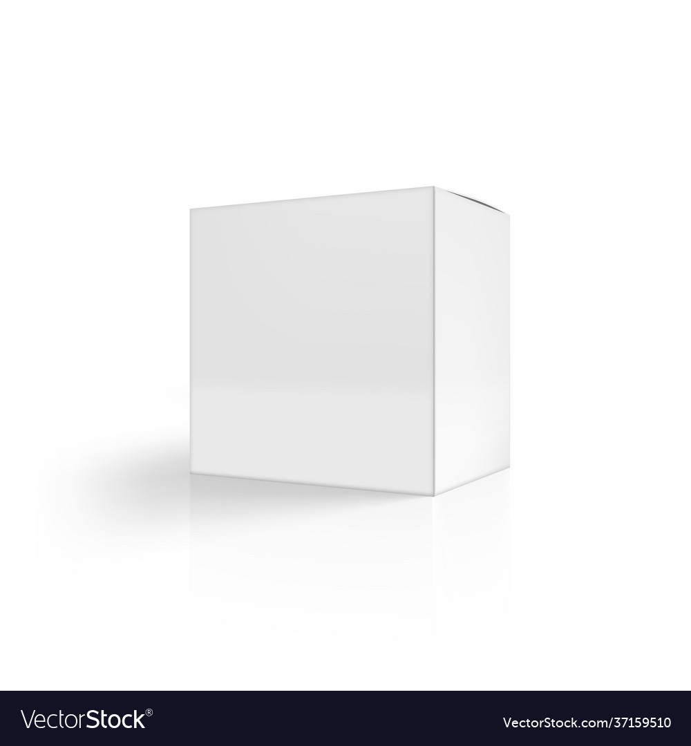 Clear big cardboard box on white background Vector Image