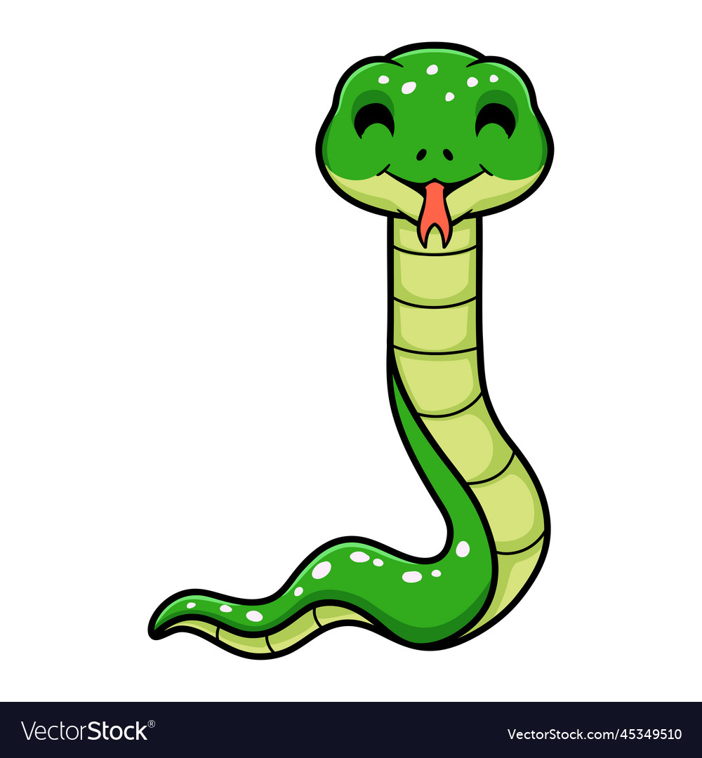 Cute green tree python cartoon Royalty Free Vector Image