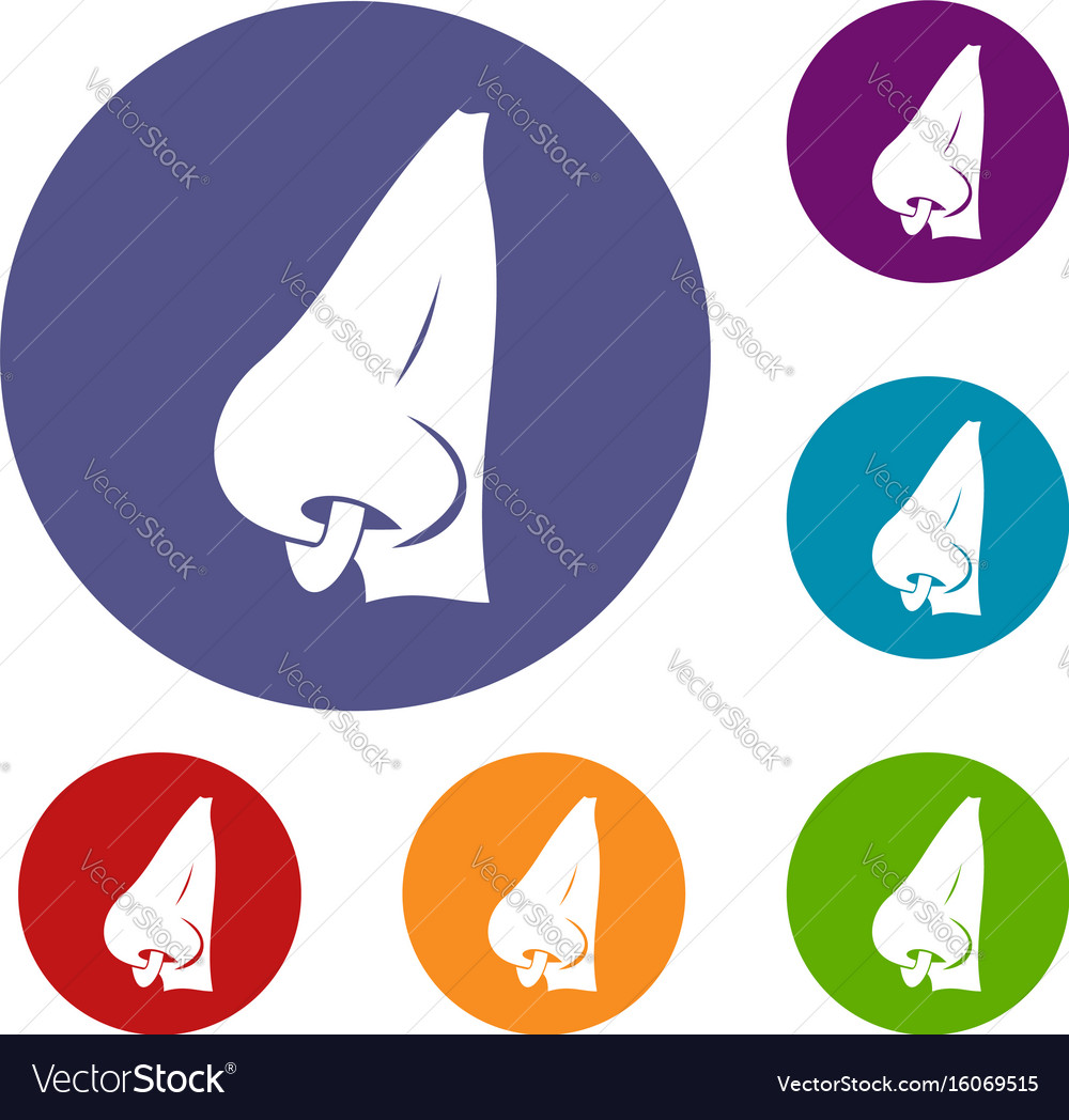 Human Nose With Piercing Icons Set Royalty Free Vector Image