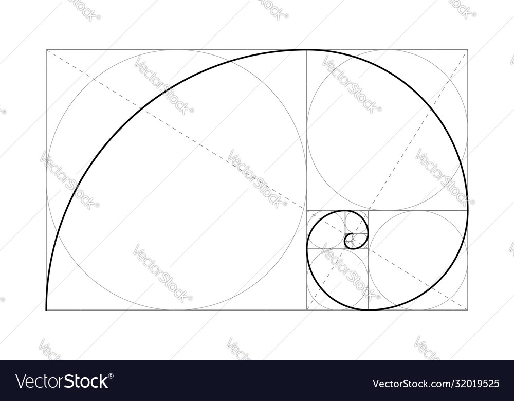 Golden ratio Royalty Free Vector Image - VectorStock