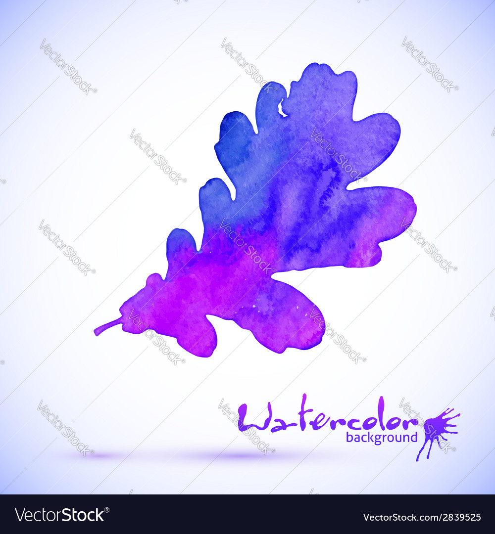 Purple watercolor painted oak leaf Royalty Free Vector Image