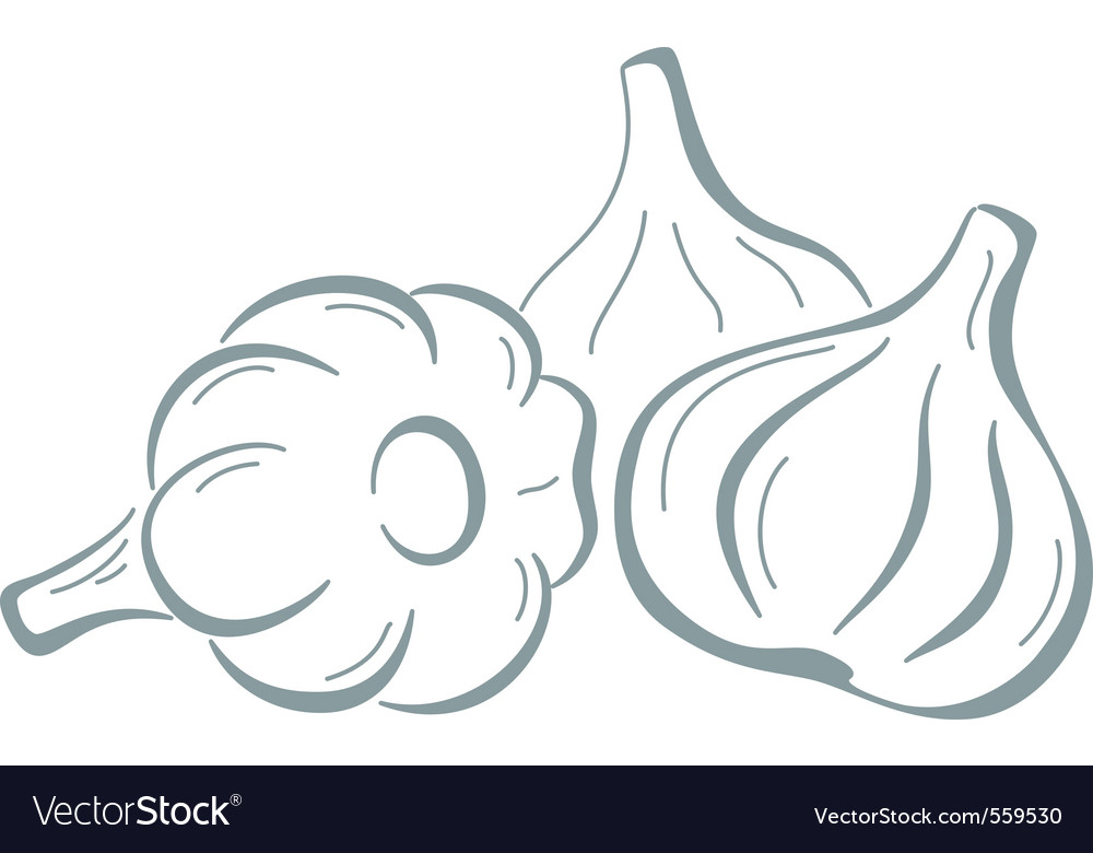 Garlic Pictogram Royalty Free Vector Image - Vectorstock