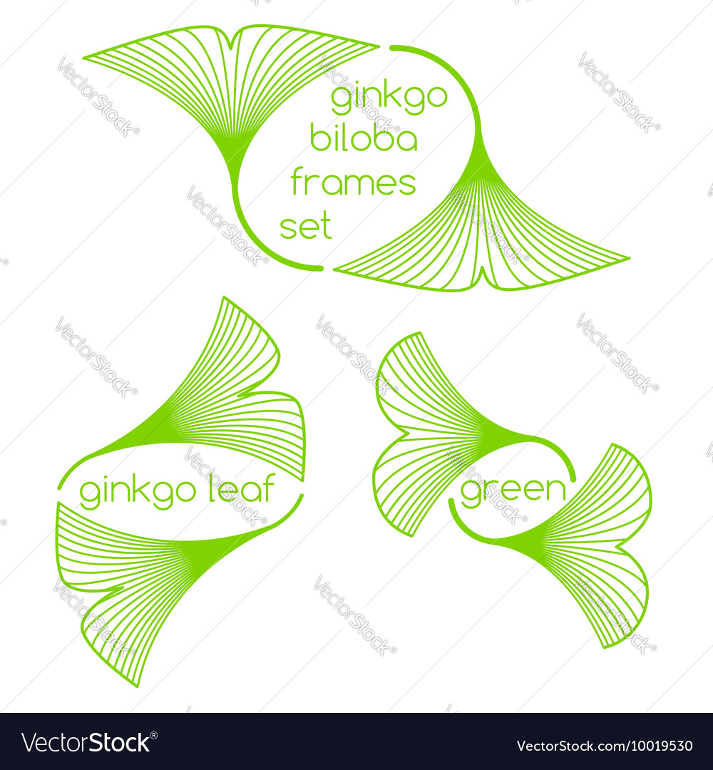 Linear ginkgo biloba Blätter Rahmen