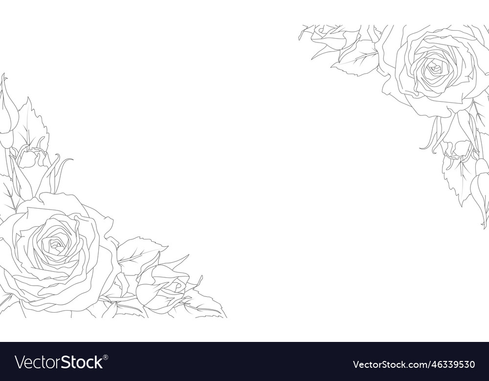Rectangular frame of a rose in line art style