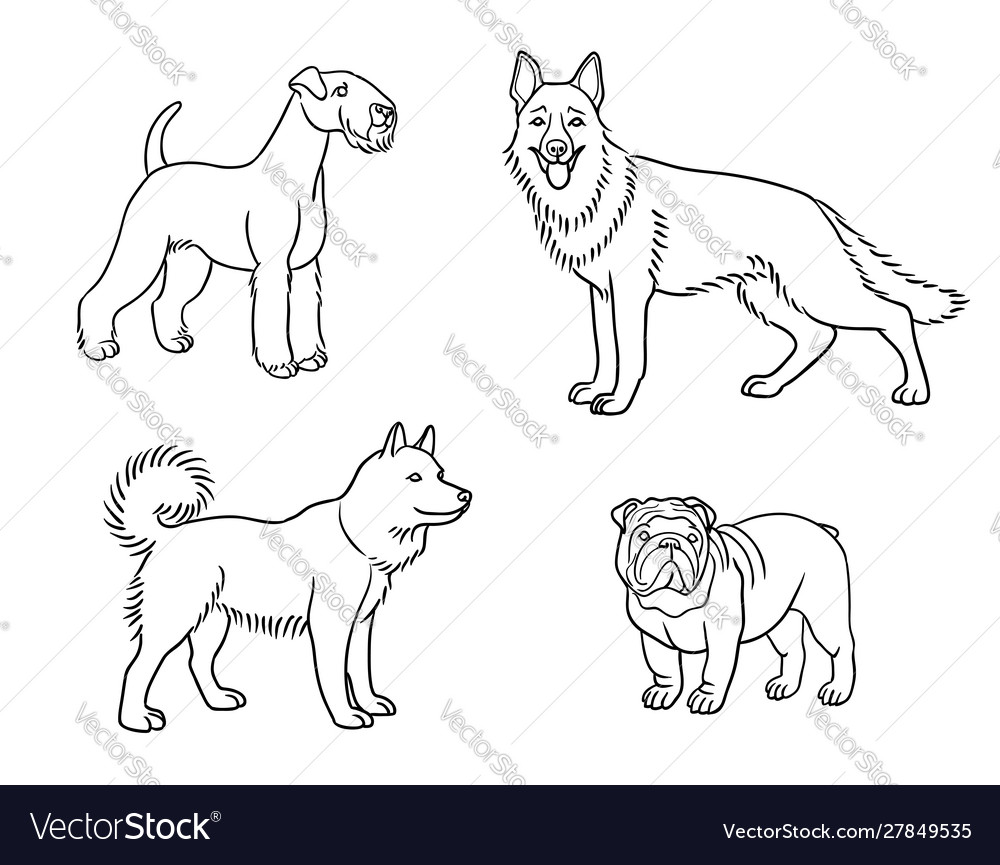 Dogs different breeds in outlines set1 Royalty Free Vector