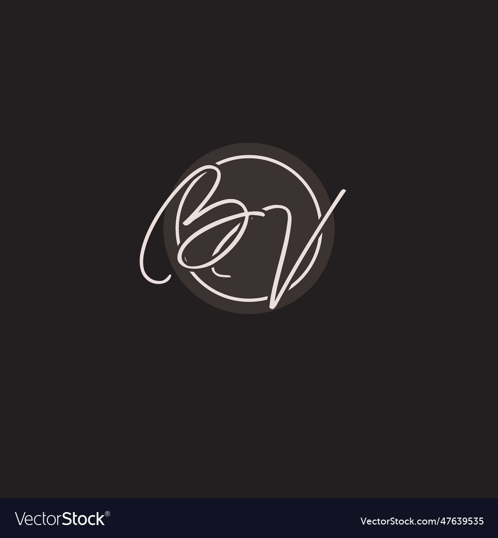Initials bv logo monogram with simple circle line vector image Initials bv logo monogram with simple circle line