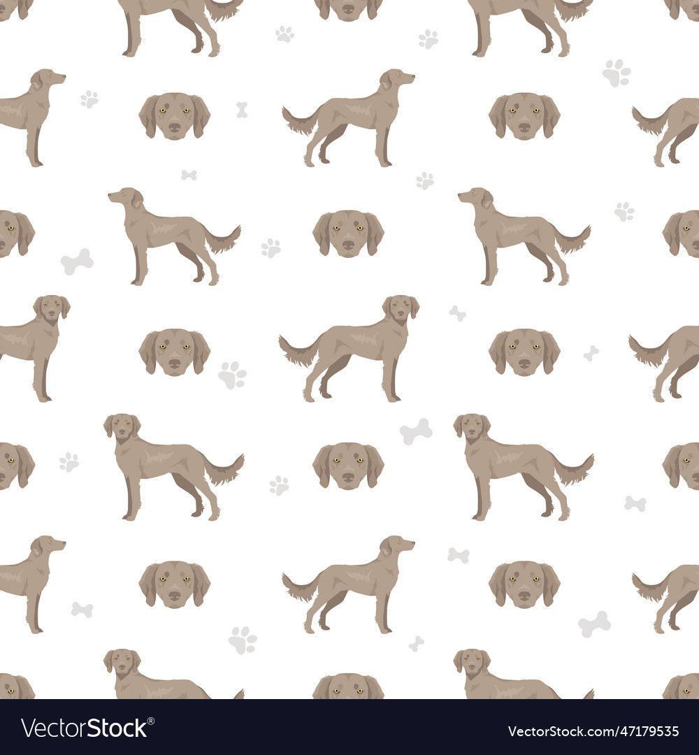 Weimaraner longhaired dog seamless pattern all