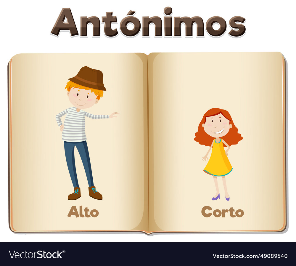 Alto and corto spanish word card with antonyms Vector Image