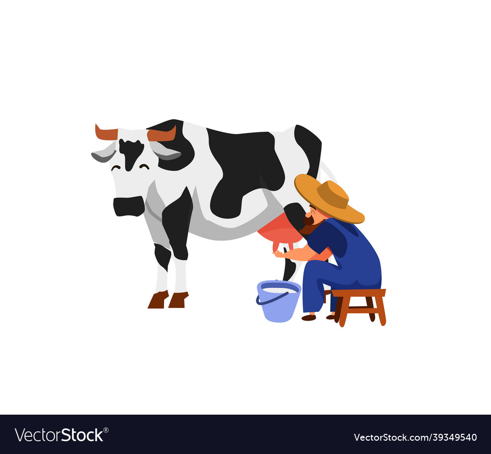 Farmer male cartoon character milks a cow flat