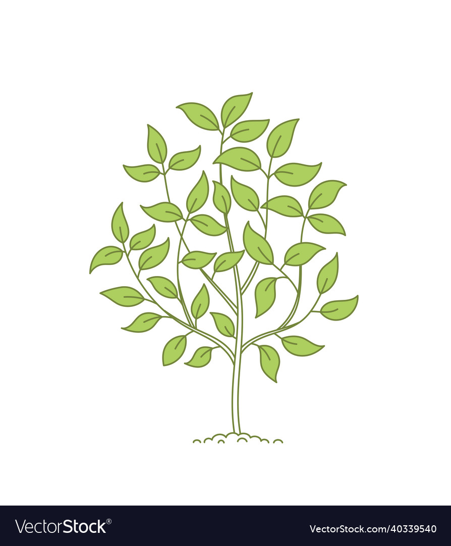 Green tree open paths editable stroke