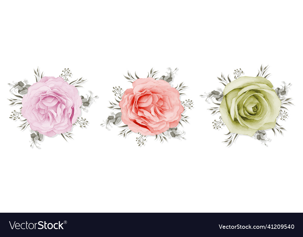 Rose bouquet isolated on white background