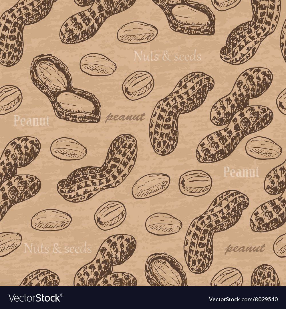 Seamless pattern with peanuts