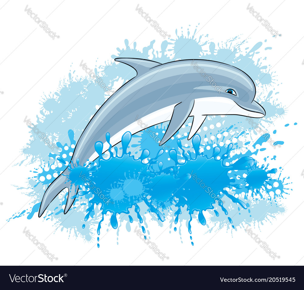 Dolphin And Water Splash Royalty Free Vector Image