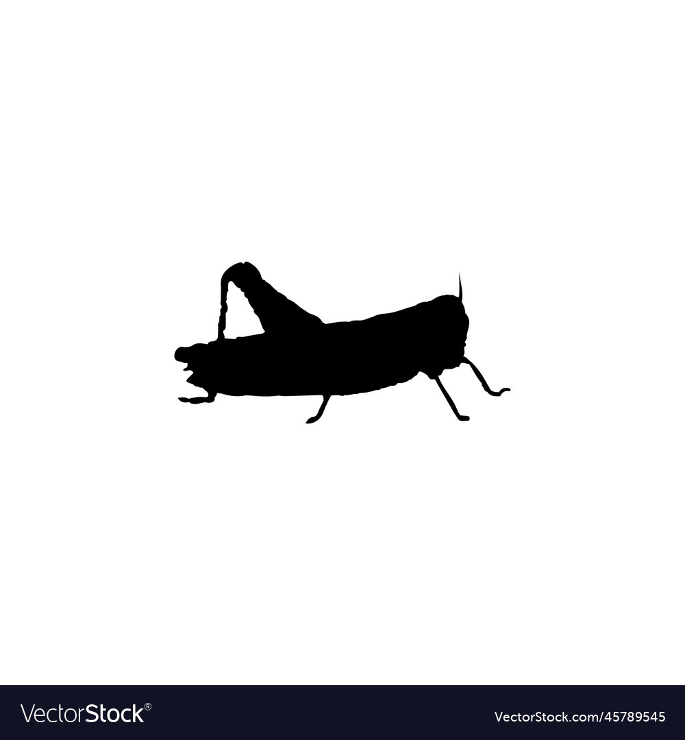 Grasshopper icon simple style insect science Vector Image Grasshopper icon simple style insect science