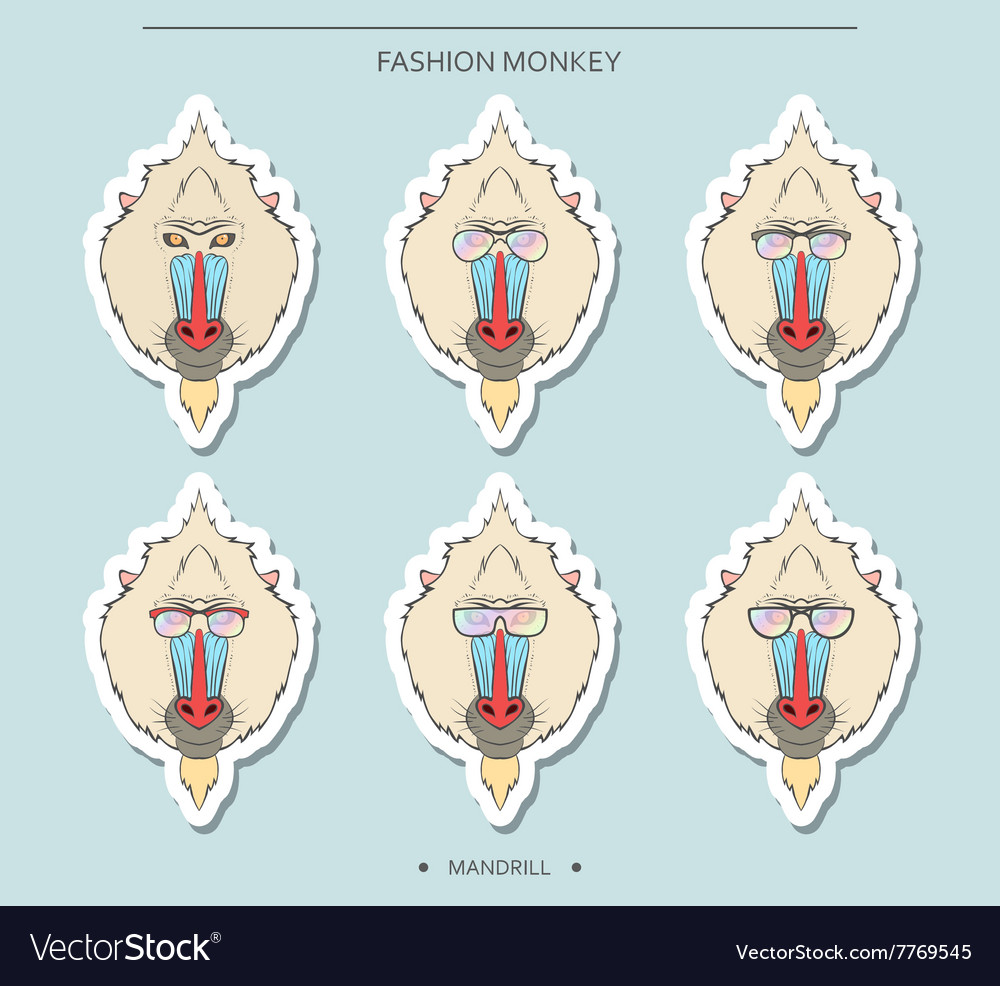 Isolated set monkey muzzles in linear style