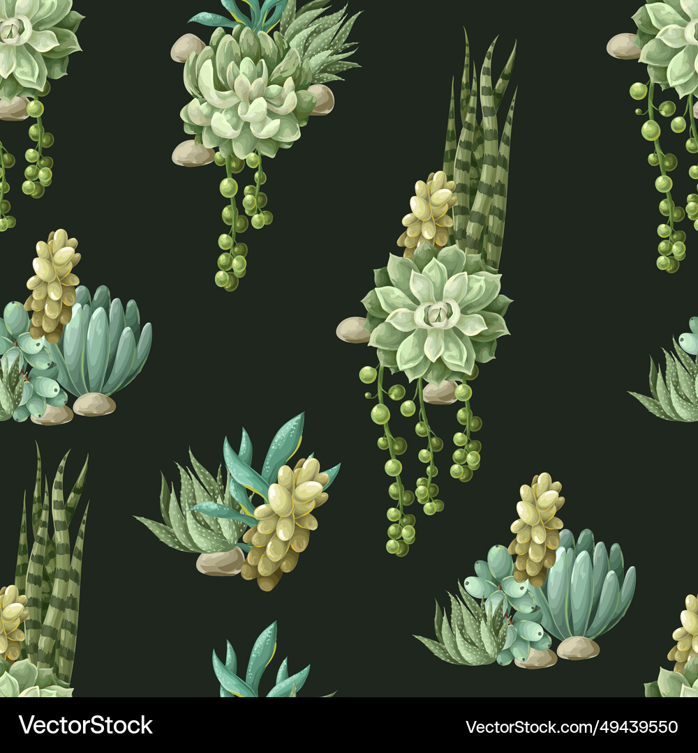 Seamless pattern with succulents and cactus Vector Image