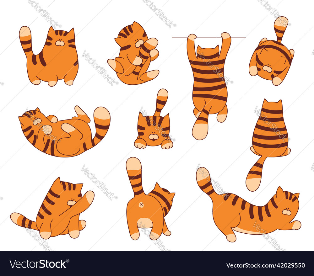 Set Of Funny Cartoon Tiger Character Animal Vector Image