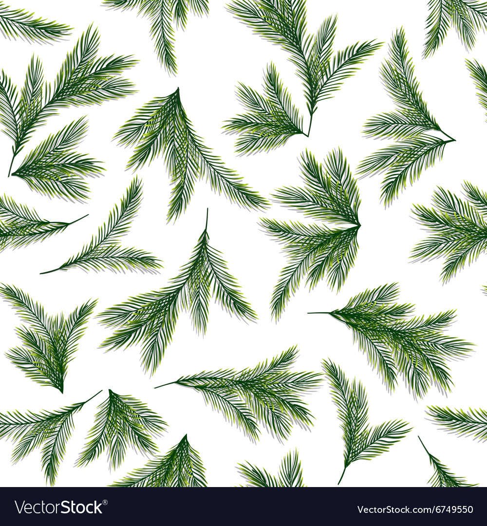 Spruce Branch Seamless Pattern