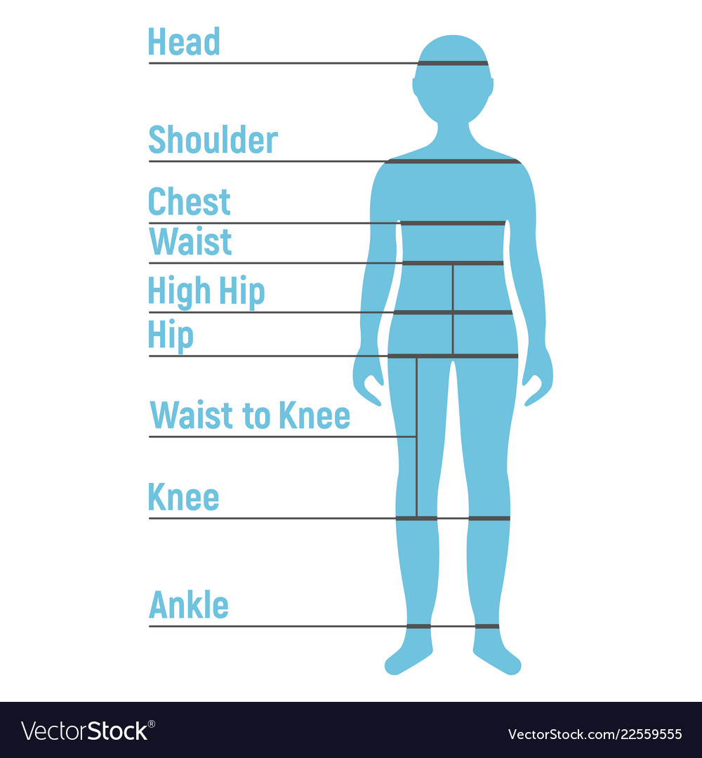 Boy size chart human front side silhouette Vector Image