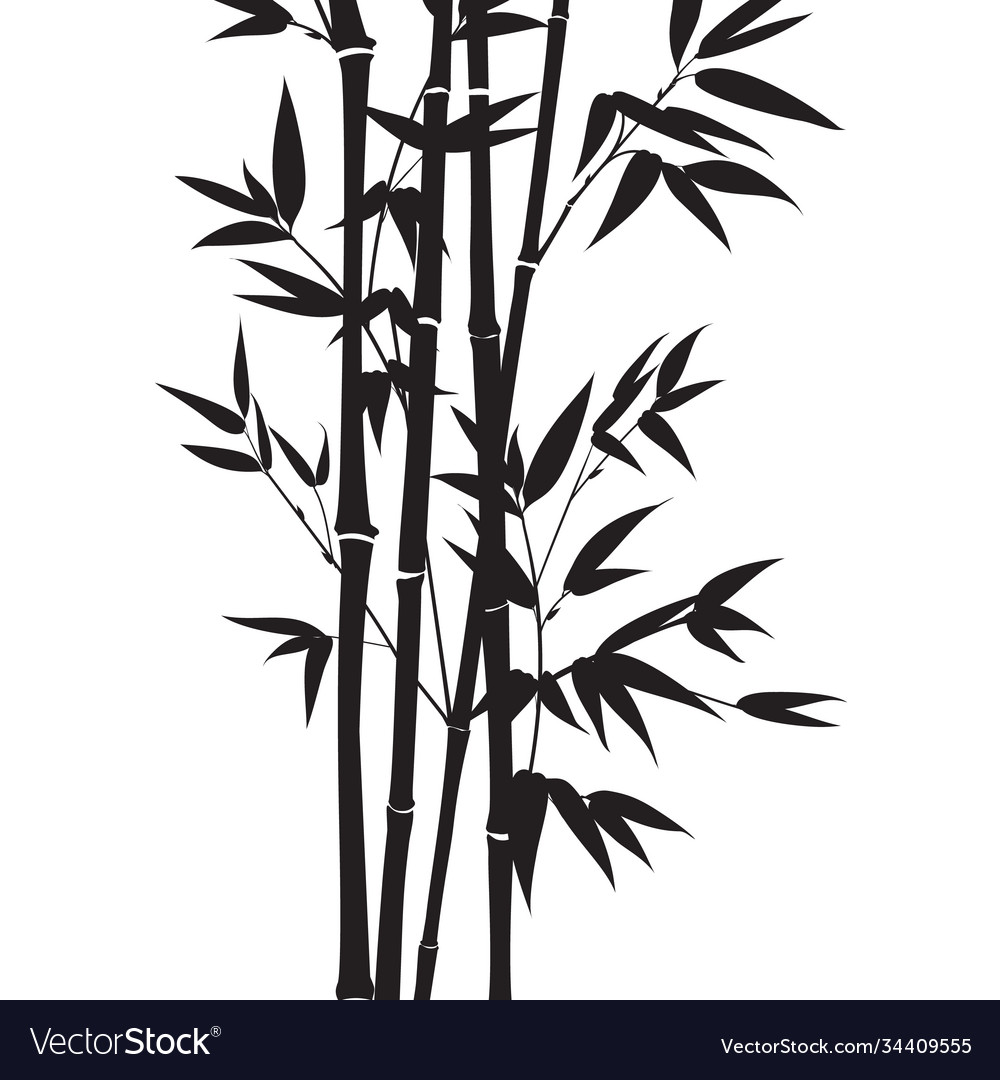 Silhouette bamboo leaves on white background Vector Image