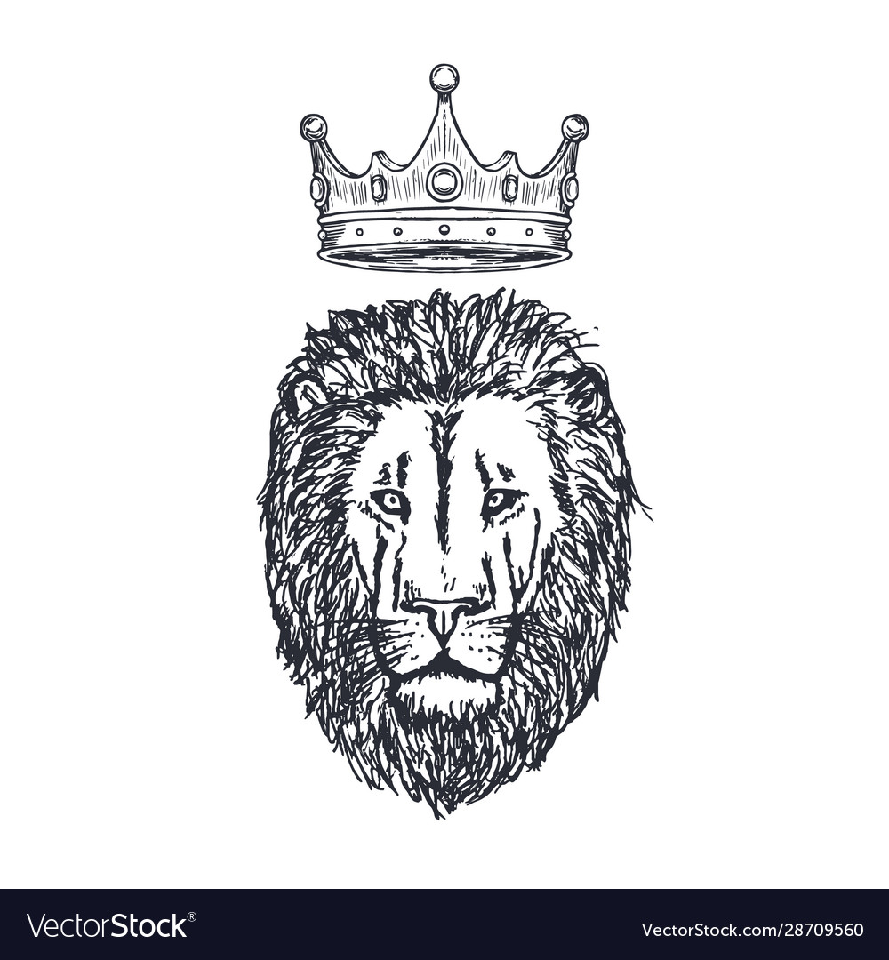 Hand drawn lion head with crown lion face Vector Image