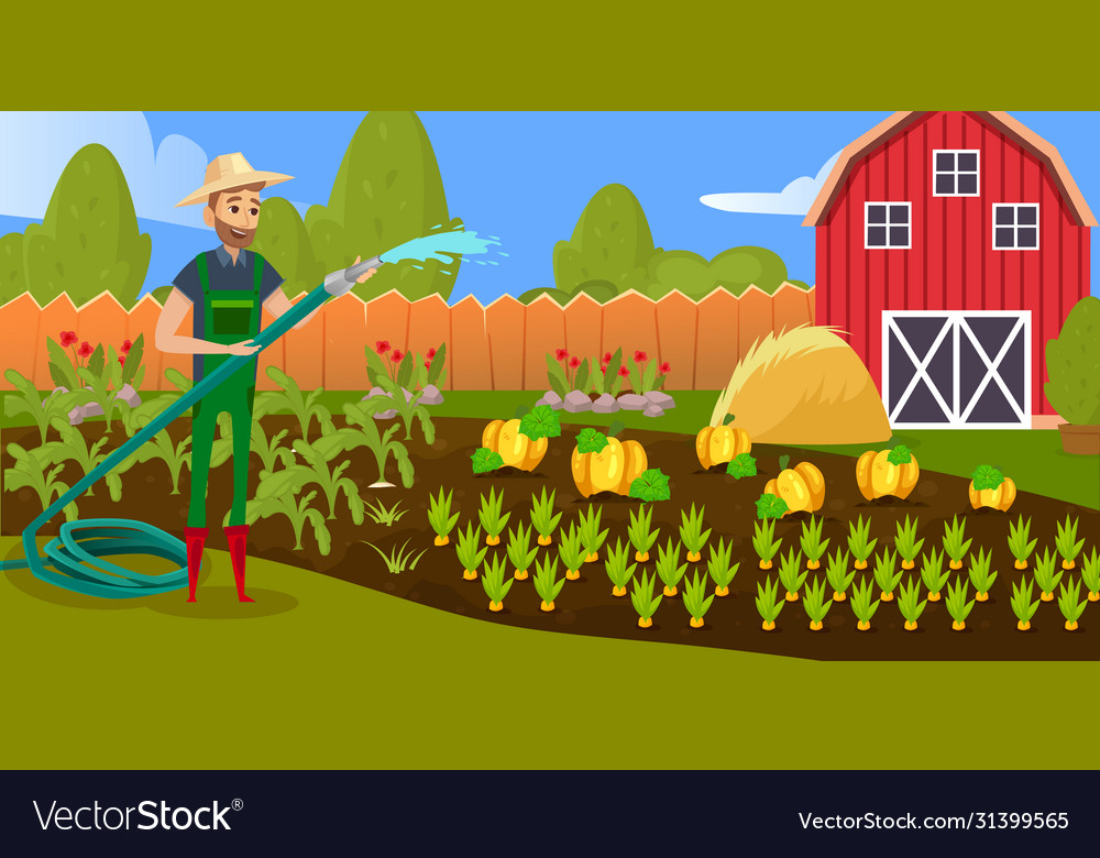 Farmer watering vegetables in garden color