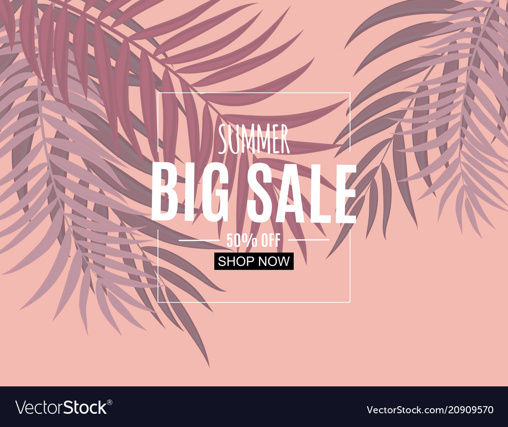 Abstract summer sale background with palm leaves