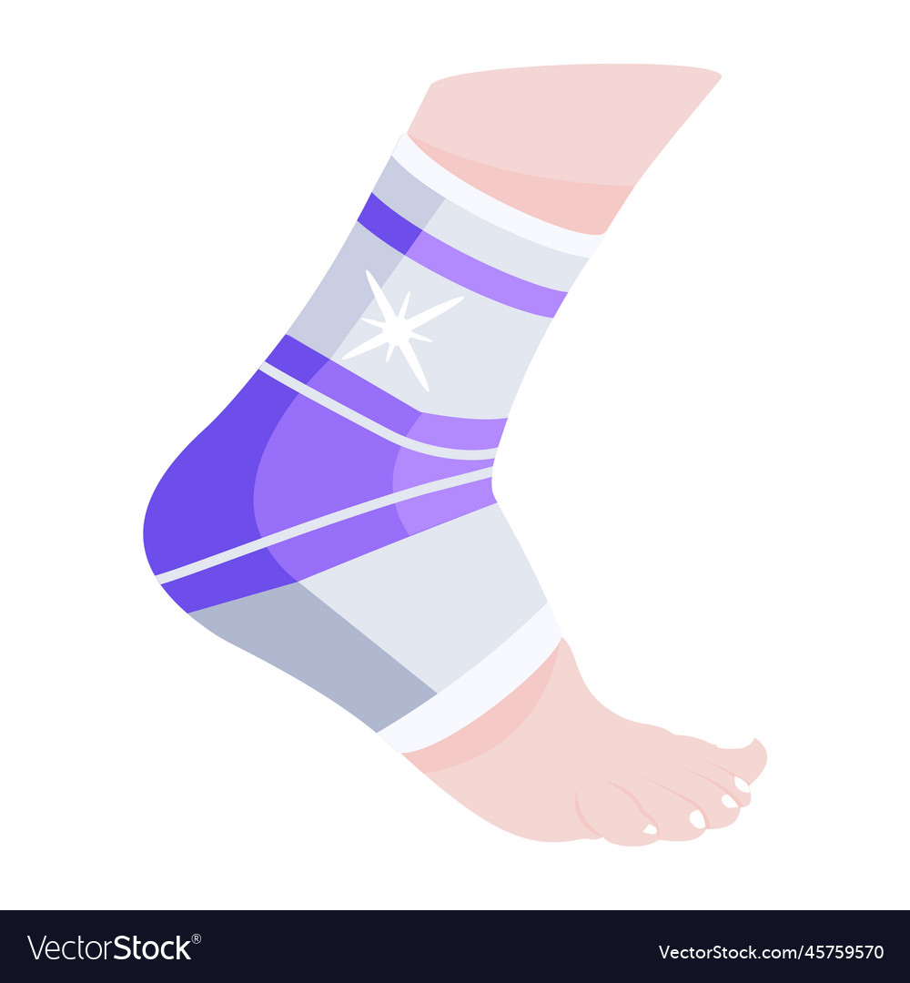 Ankle brace Royalty Free Vector Image - VectorStock