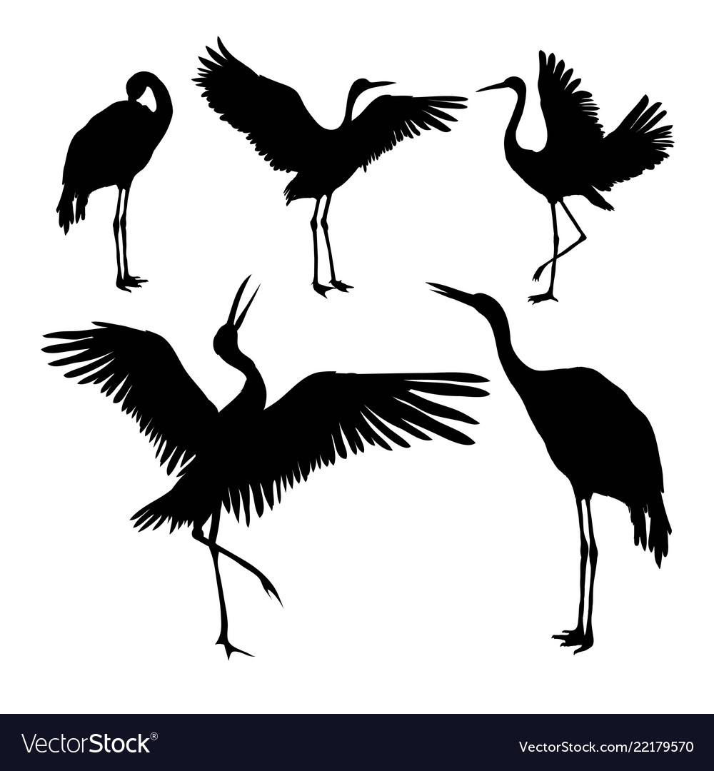 Crane silhouette Royalty Free Vector Image - VectorStock