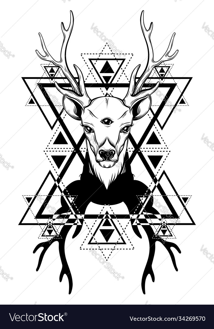 Hand drawn beautiful sketched deer deers Vector Image