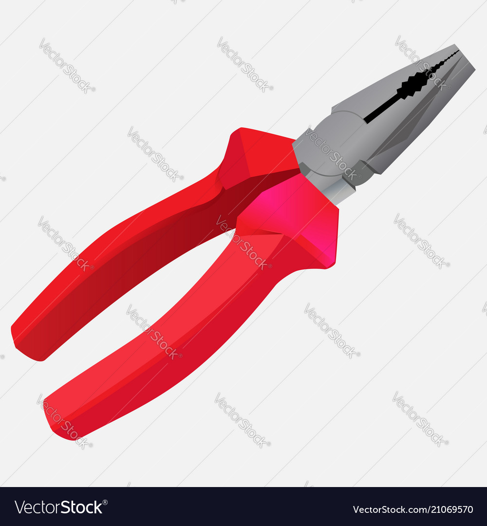 pair pliers Royalty Free Vector Image 