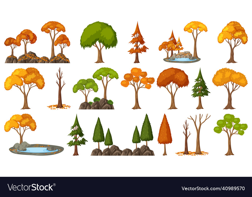 Set of four seasons trees on white background