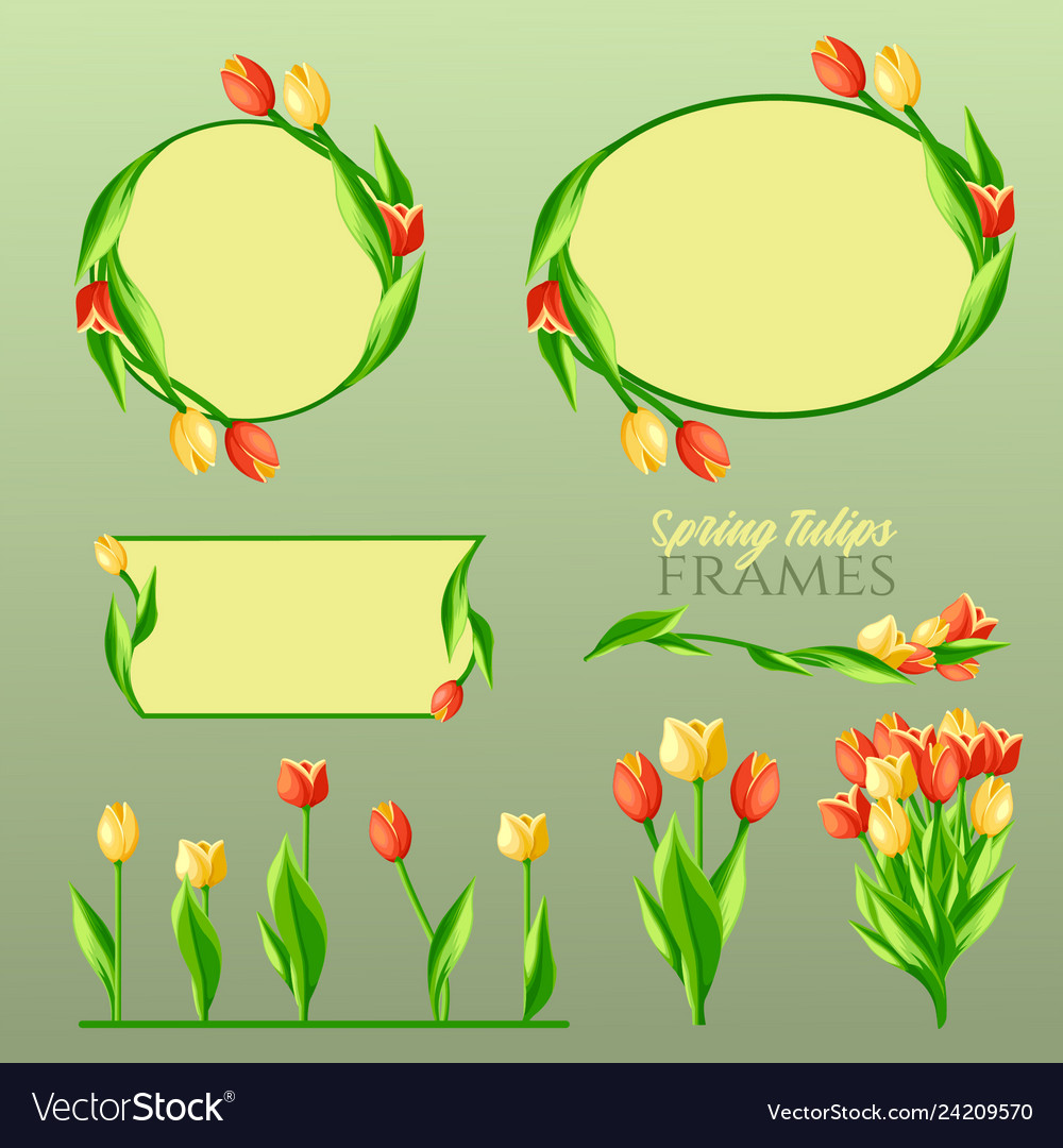 Spring tulips frames set Vector Image Spring tulips frames set