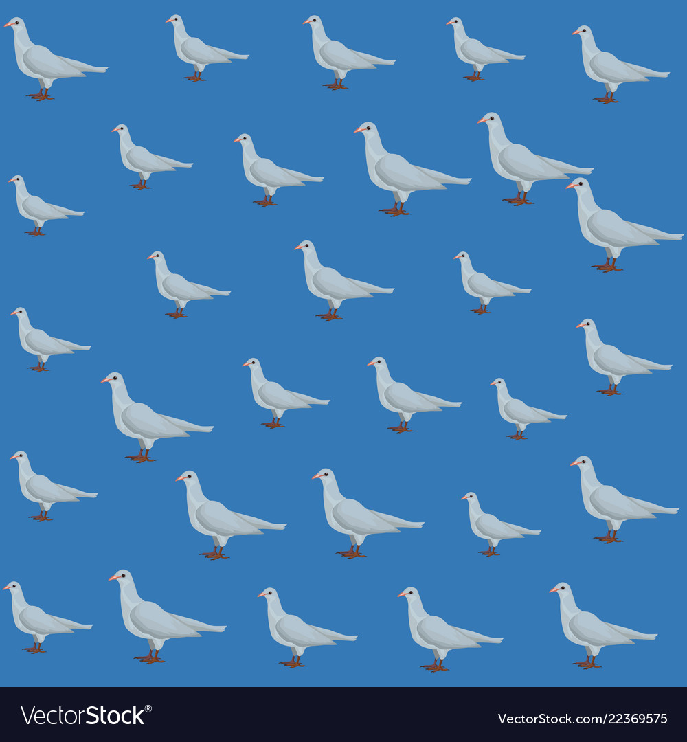 Dove pattern background