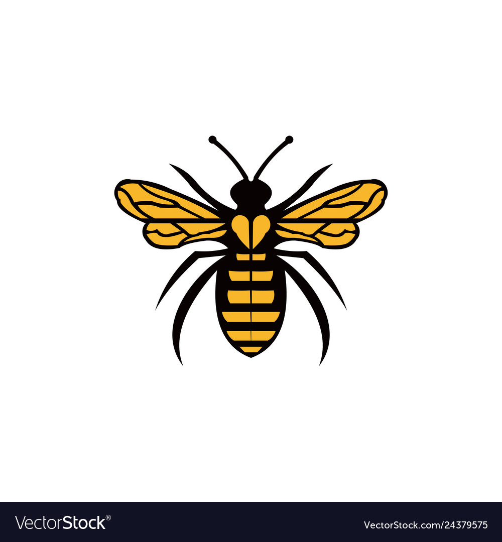 Honey flying bee Royalty Free Vector Image - VectorStock