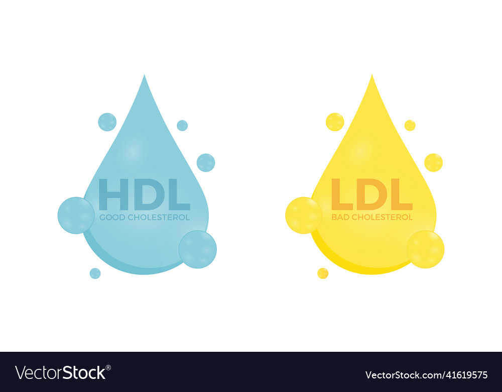Set of good hdl and bad ldl cholesterol Vector Image Set of good hdl and bad ldl cholesterol