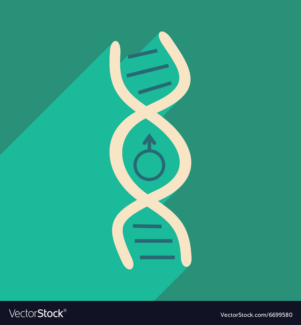 Flat with shadow icon and mobile application genes