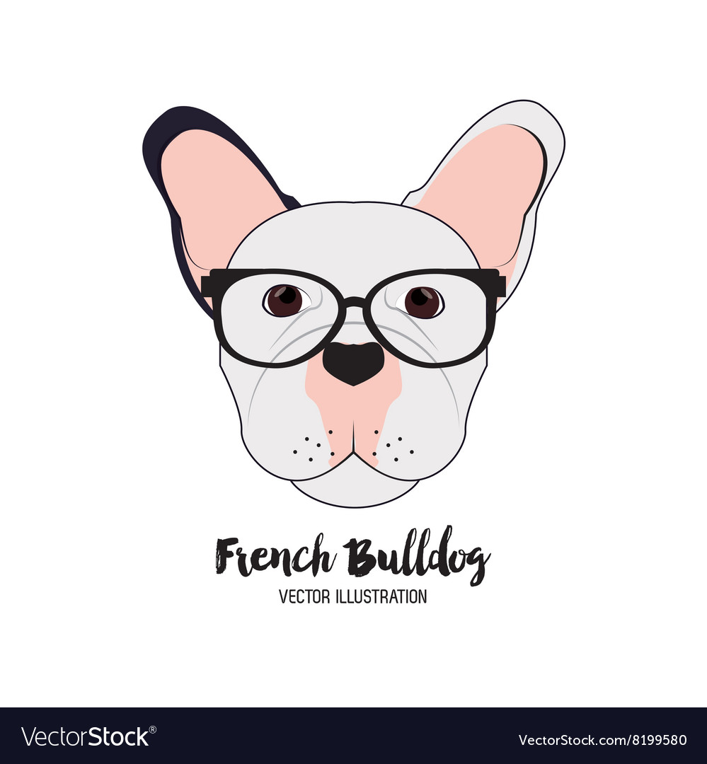 French bulldog design