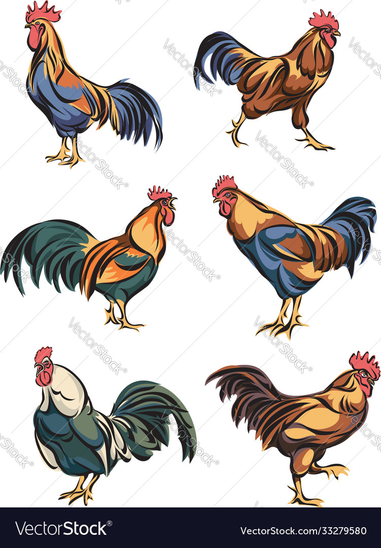 Rooster funny grotesque caricatured design Vector Image Rooster funny grotesque caricatured design Vector Image