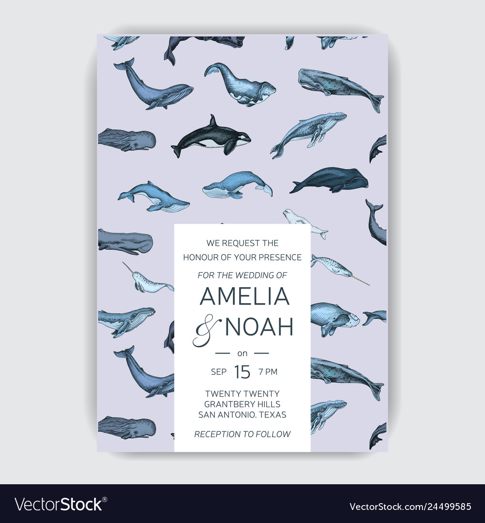 Wedding card with whale colorful