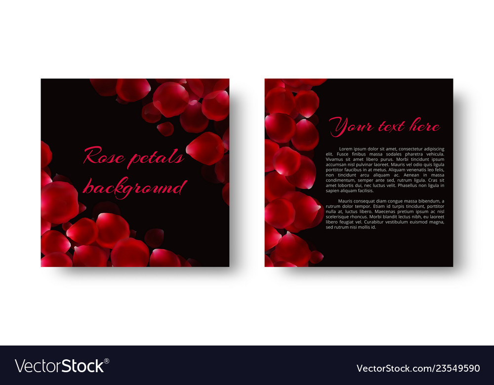 Greeting card with rose petals