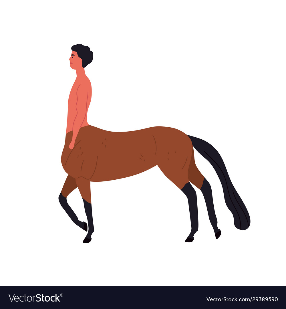 mythical-creature-half-horse-and-guy-flat-vector-image