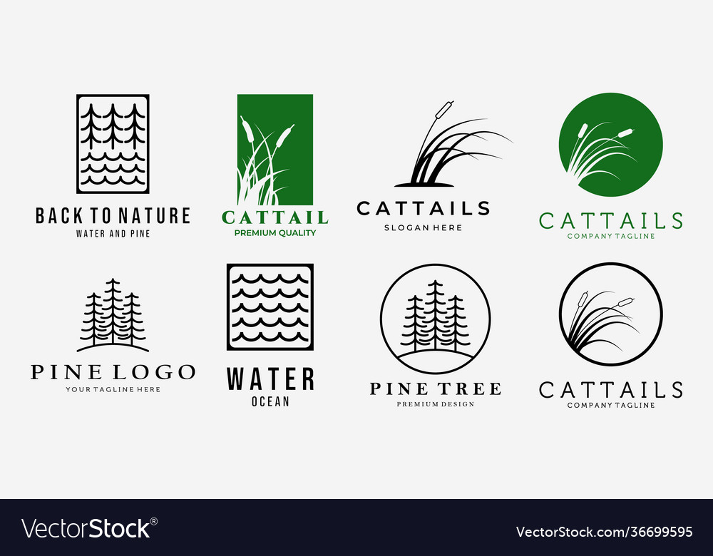 Cattails & Pine Forest Line Art