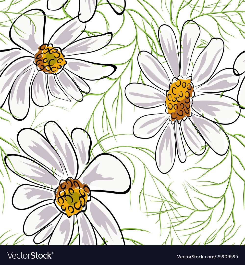 Chamomile flowers seamless pattern