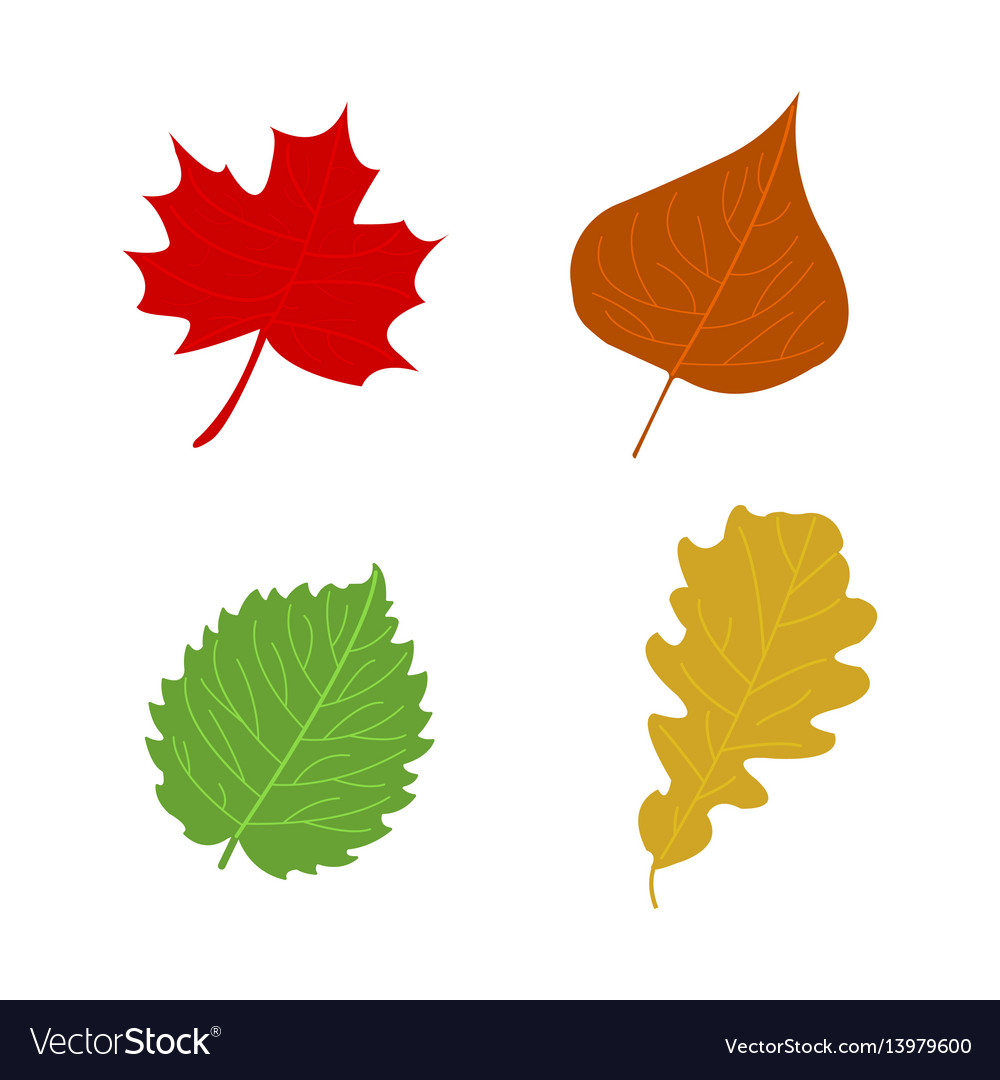 fall leaves cartoons