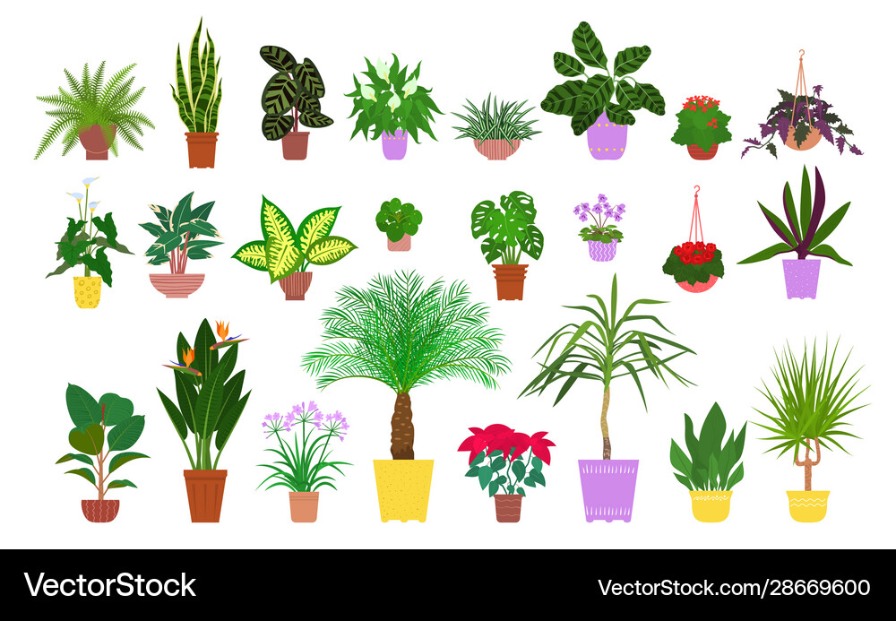 House Plants Temperature Guide Blossom Blog, 59 OFF