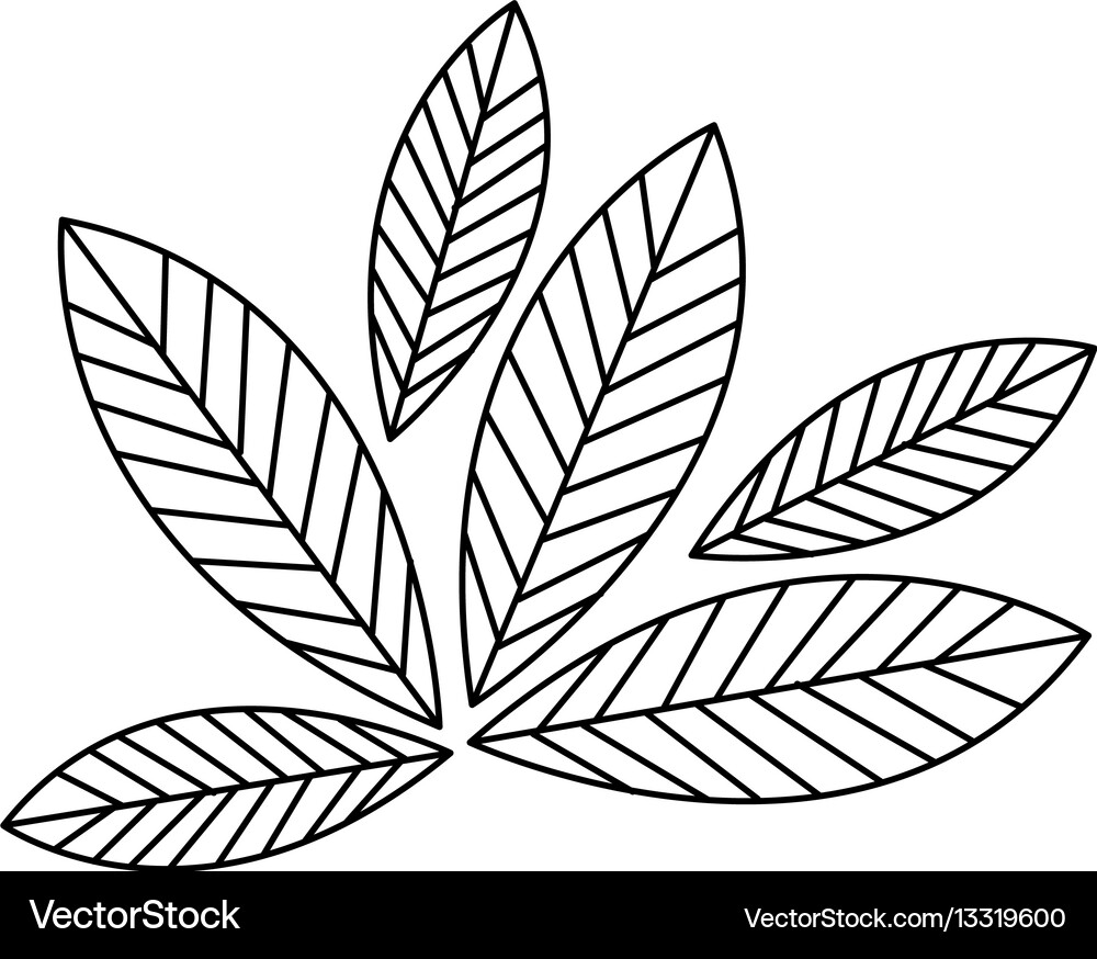 Silhouette leaves with ramifications icon Vector Image