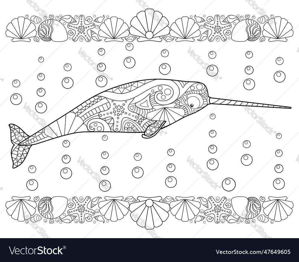 Narwhal with shell borders
