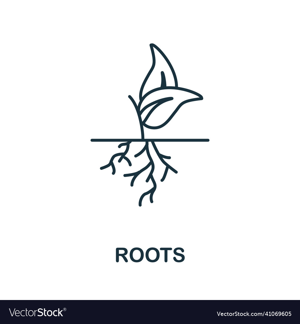 Roots icon line element from farming collection vector image Roots icon line element from farming collection