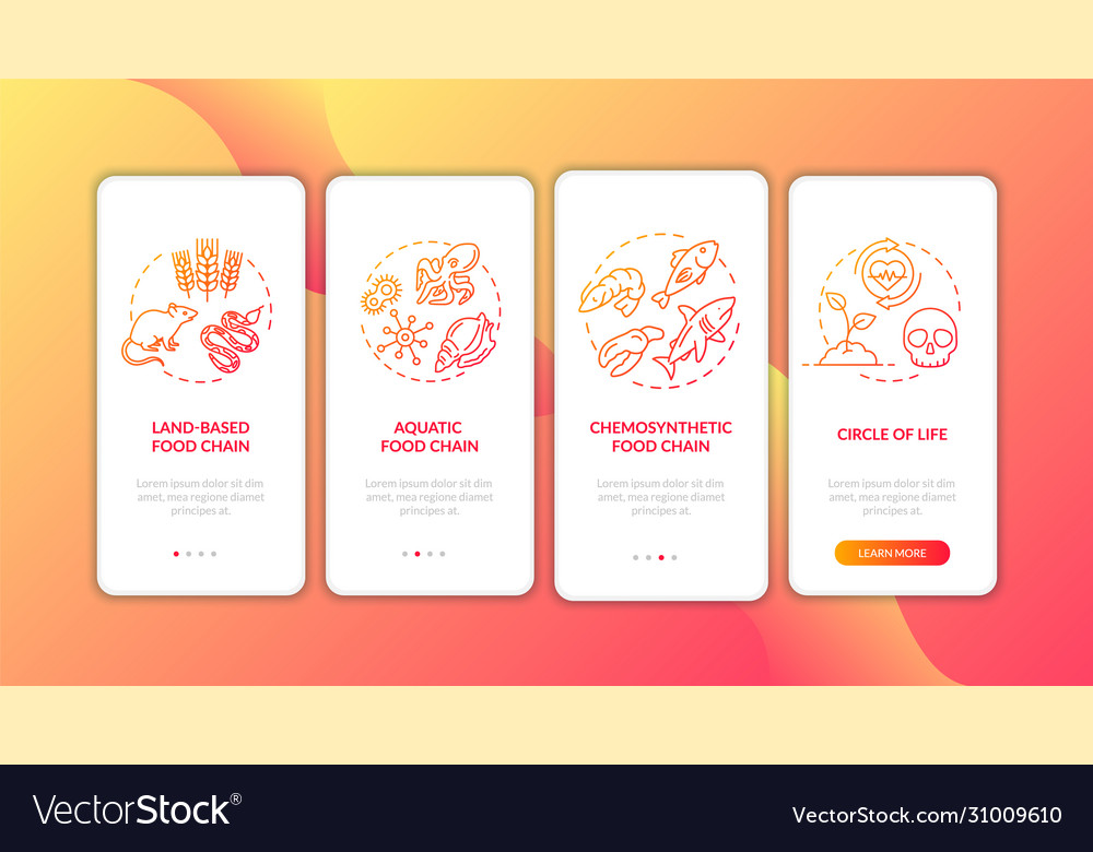 Food web onboarding mobile app page screen vector image Food web onboarding mobile app page screen